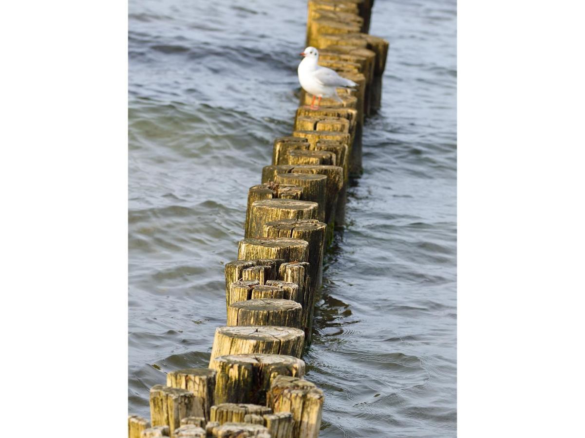 Freesenkietz 23 Apartment Zingst Luaran gambar